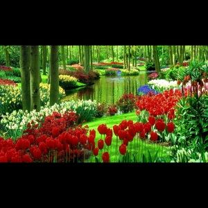 Meet your Posher, Donah